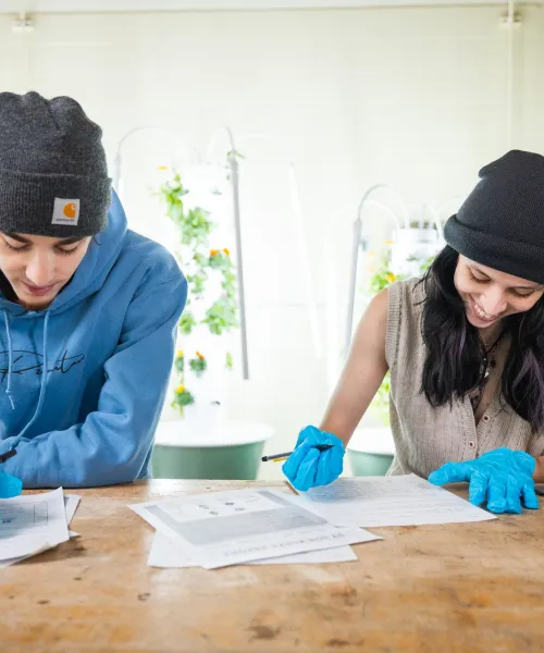 Controlled Environment Agriculture Technology and Occupational Sciences